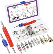 Swpeet 102Pcs Air Conditioning Valve Core Accessories Kit, Including Assortment R12 R134a Valve Core Refrigeration Tire Valve Stem Cores with Remover Tool for Most Cars