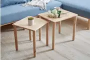 Teammate Nesting Table Set of 2
