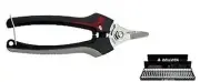 Scissors Harvesting Bellota 3625 Stainless - Cemb for Pruning Trees Of Fruit