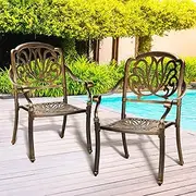 Livsip 2PCS Outdoor Chair with Cast Aluminium Frame Outdoor Furniture