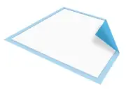 Underpad McKesson Lite 17X24in Disposable Fluff Lt Absorb - Case of 300, 4 Pack
