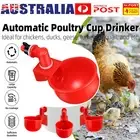 Automatic Chicken Water Cup Poultry Drinking Bowl Chicken Feeder Cups for Ducks