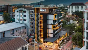 清邁海夫旅館The Hive Chiang Mai