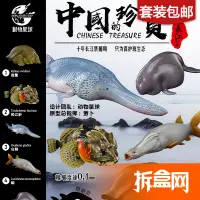 在飛比找露天拍賣優惠-<模型好物>拆盒網現貨 動物星球 中國的珍寶長江2 松江鱸斑