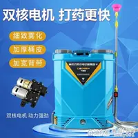 在飛比找樂天市場購物網優惠-背式雙泵電動噴霧器鋰電池12V噴壺農用高壓新式打藥機雙核防水