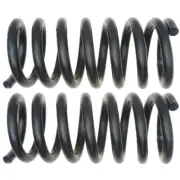Coil Spring Set fits 2004-2013 Nissan Armada Titan Pathfinder Armada MOOG (for: Nissan)