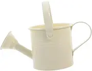 Mini Watering Can with Handle Cute Flower Watering Kettle for Indoor Plants Tiny Succulent Planter Decorative and Functional Garden Watering Can for Home Decor