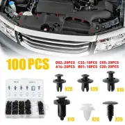 Universal 100* Clips Trim Car Push Pin Rivet Door Bumper Panel Retainer Fastener (for: Renault)