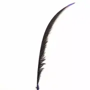 Golden Pheasant Centre Tail Feather x 10 pcs - Purple ((BULK PACK))