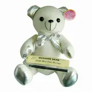 White & Silver Signature Message Teddy Bear & Pen Set