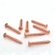 M2 Rose Gold Plated Steel Screw Phillips Countersunk Head Self-tapping Bolts