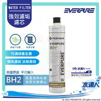 在飛比找樂天市場購物網優惠-【美國原廠】EVERPURE BH2 濾心(平行輸入)/淨水