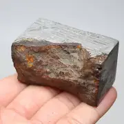 258g Muonionalusta meteorite part slice C7446