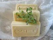 Goat Milk Herbal Soap