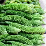 Bitter Melon - Long seeds