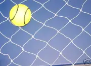 50' X 40' WHITE DIAMOND NYLON NETTING BASEBALL BARRIER BACKSTOP 2" MESH -160Lb