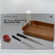 Sharper Image Roasting Pan Carving Knife Fork Baster 15x11 Copper Non-Stick Coat