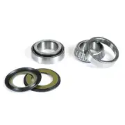 Moto TM MX 250 2024 Prox Steering Bearings 24.11001