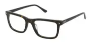 Lozza VL4294V Taormina 2 722Y Men's Glasses Tortoiseshell Size 53 - Private Health Rebate - Blue Light Block Available