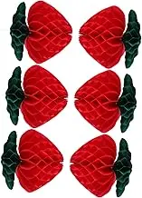Honeycomb Party Balls 6 Pack of Tissue Paper Honeycomb Balls for Shower Decorations
