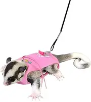 Sugar Glider Harness and Leash Set Adjustable Comfort Harness for Sugar Glider Small Animal Training Walking Vest Leash