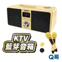 在飛比找蝦皮商城優惠-KTV藍牙音箱 行動KTV SD309 雙人無線 KTV 卡