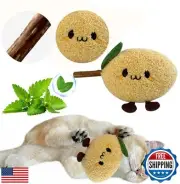 Petelligent Durable and lnteractive Cat Teething Stick Toys: Chewing Stick, G