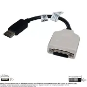 Adapter Video DP Displayport Male DVI Digital 24 +1 25 Pin Female 9" Dell 023NVR