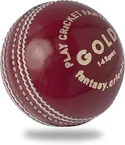 Cricnix Cricket Ball Gold Red or White or Pink Leather 142g for Practice or Training