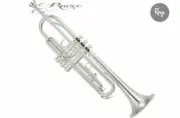 Rmze Professional Silver-03 Bb Trumpet including Hardcase