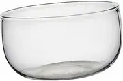 SHOWERORO Heatproof Glass Salad Bowl 550ml High Borosilicate Material Smooth Surface Great for Fruits Desserts