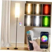 Frideko Floor Lamps for Living Room, Dimmable 3 Colors Temperature, Modern