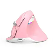 Delux M618Mini PINK Wireless Luminous Vertical Mouse Bluetooth Rechargeable