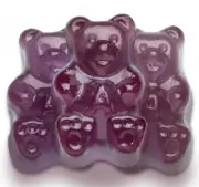 Albanese Concord Grape Bears Gummy Gummies Candy Candies 2 Pounds Free Shipping