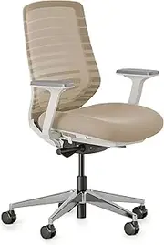 [Branch] Ergonomic Chair - A Versatile Desk Chair with Adjustable Lumbar Support, Breathable Mesh Backrest, and Smooth Wheels - Experience Optimal Comfort and Support - Sand - White