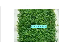 在飛比找Yahoo!奇摩拍賣優惠-抗UV戶外專用茶葉草皮拼接式人造草皮草坪人工草皮批發假草皮園