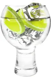 Ginsanity 19oz / 540ml Alternato Gin & Tonic / Wine Balloon Copa Glass Cocktail