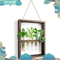 在飛比找蝦皮購物優惠-壁掛式懸掛植物試管花蕾玻璃玻璃容器木框家庭花園婚禮裝飾 gj
