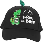 [COLLBATH] Children's Baseball Cap Outdoor Baseball Hat Casual Peaked Hat Boys Sun Hat Dinosaurs Embroidered Cap Sun Hat for Vintage Hat Hats Outdoor Peaked Decor Black Polyester Cotton
