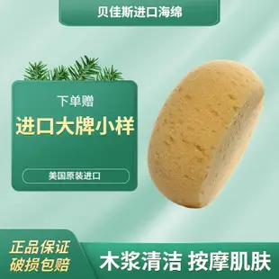 Borghese/貝佳斯 進口 專用 海綿 泥漿面膜 好搭檔 正品