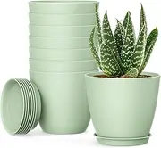 UOUZ 8Pack 4inch Small Nursery Plant Pots, Plastic Planters with Drainage Holes and Saucers for Indoor Seedlings, Succulents and Small Plants, Green