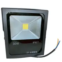 在飛比找蝦皮購物優惠-【含稅】台灣製 ZY-30W 大晶片 LED戶外投射燈 燈具