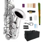 Eb Flat Alto Sliver Saxophone with Carry Case & Accessories for Music Lover
