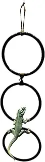 Corn Snake Tank Accessories | Reptile Terrarium Decor - Swing Hoop Chain Interactive Pet Playground Toy for Amphibian Habitat Home Indoor