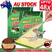 1-30X SPECIAL OFFERS Mouse Traps Rat Mice Mouse Trap Board Snare Catcher Boar