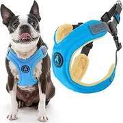 [GOOBY] Escape Free Memory Foam Harness - Blue, Medium - No Pull Step-in Small Dog Harness with Four Point Adjustment - Perfect on The Go Dog Harness for Medium Dogs No Pull and Small Dogs