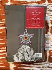 Ashland Neon LED Lighted Tree Topper Star Multicolor 8 Modes Timer Battery