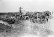 Carting Water From the Main Tyrrell West Channel Victoria 1922 OLD PHOTO
