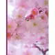 Kanji Notebook: Learn Japanese and Practice Writing Japanese - Cherry Blossom Cover