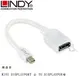 【A Shop】 LINDY 41021 林帝 MiniDisplayPort公 to DisplayPort母 轉接器 20CM